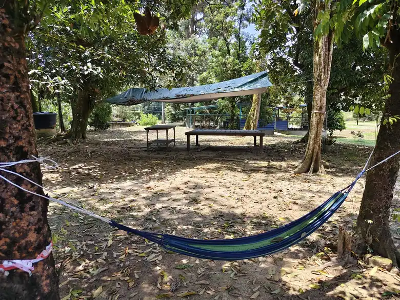 Platform kayu dan buaian di bawah teduhan kanvas antara pokok